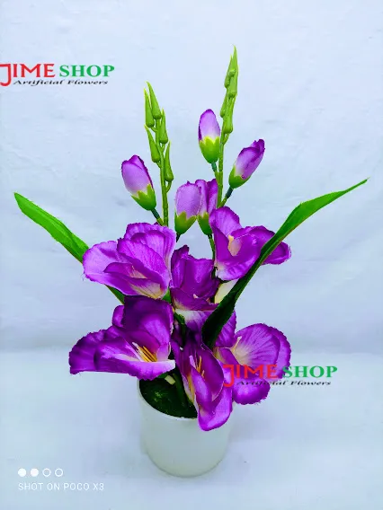 Bergamot Delicate Shampoo – Hair Fall Solution