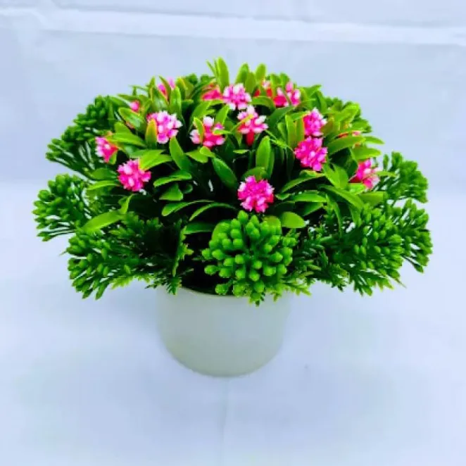 Dmp Baby Bath Organic Head to Toe Wash (Aloe Vera) 480ml